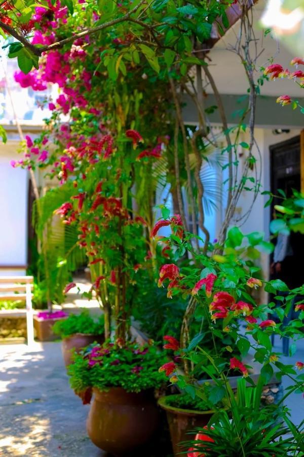 Zanzibar Garden Lodge מראה חיצוני תמונה
